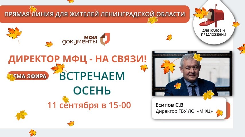 Изображение WhatsApp 2023-09-08 в 16.54.25.jpg